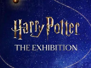 Feel the nostalgia while celebrating some of your favourite moments from the Harry Potter series!