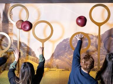 Harry Potter: The Exhibition celebrates the world of Harry Potter by sharing some of your favourite moments, characters,...