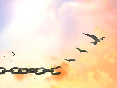 Learn how to let go of the past. Learn how to let go of the past.
