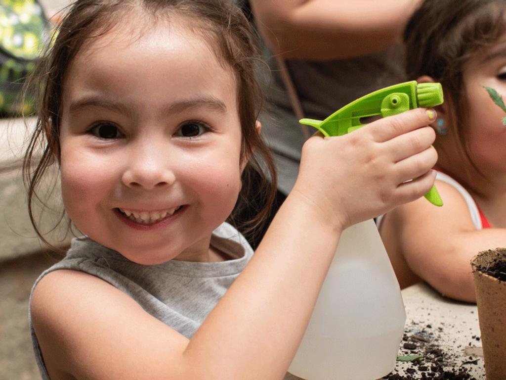 Herbarium on Stage - Flower Scientist for a Day 2021 | What's on in Sydney