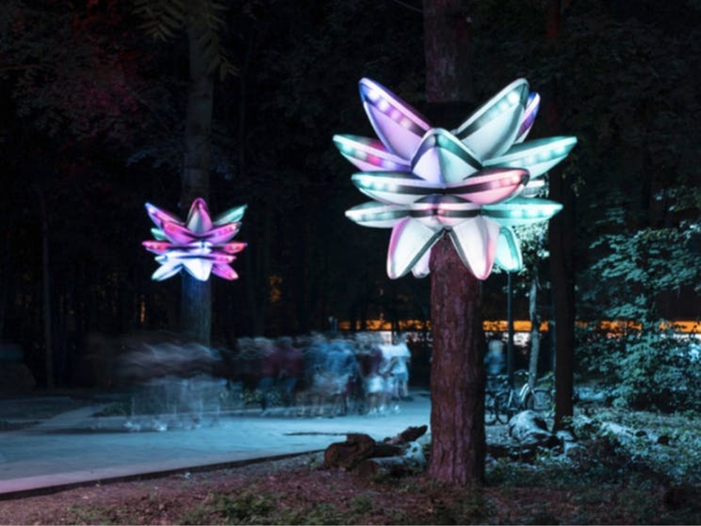 Hidden Garden - Light Art Installation 2021 | What's on in Chatswood