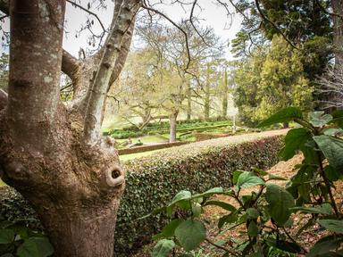 THIS EVENT IS SOLD OUT!It's a unique event with four spectacular private Adelaide Hills gardens open to ticket holders o...