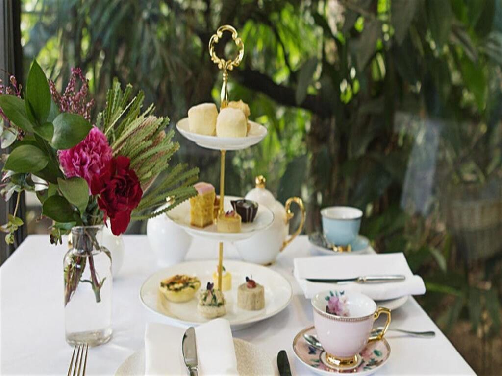 High Tea Afternoon Sitting at Melbourne Zoo 2020 | Parkville