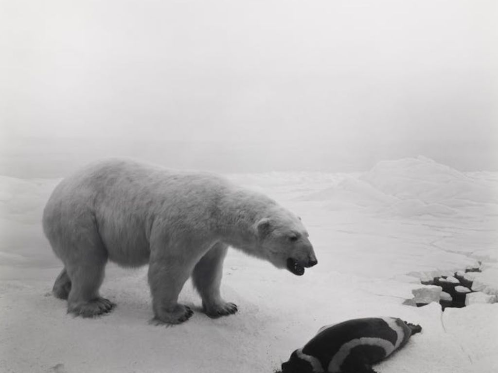 Hiroshi Sugimoto Time Machine 2024 | What's on in Sydney