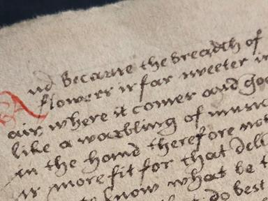 Taking inspiration from Alchemical books from the 1400s, this 8 week course will delve into the historic 'Germany Chance...