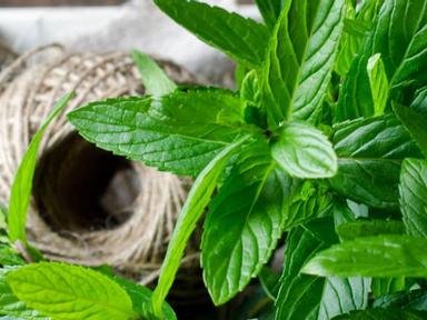 Growing your own herbs is rewarding, economical and helps reduce waste in the kitchen. Join Linda Brennan from Ecobotani...