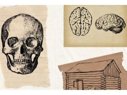 Unknown creatures, tormenting mysteries, and horrors inspired by the human experience. Step into your session today as y... Unknown creatures, tormenting mysteries, and horrors inspired by the human experience. Step into your session today as y...