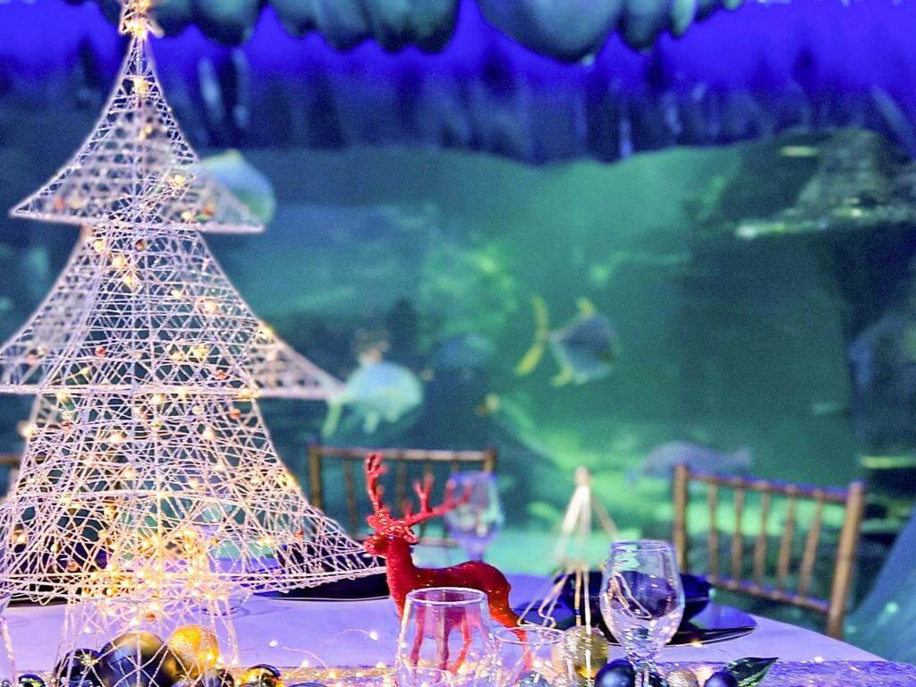 Host an unforgettable festive celebration at the Aquarium 2021 | What's on in Sydney