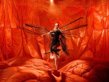 Australia’s leading Indigenous performing arts company, Bangarra Dance Theatre, will present the world premiere of their first-ever visual arts collaboration, Illume, an exciting new presentation from Mirning woman and Bangarra artistic director, Fra Australia’s leading Indigenous performing arts company, Bangarra Dance Theatre, will present the world premiere of their first-ever visual arts collaboration, Illume, an exciting new presentation from Mirning woman and Bangarra artistic director, Fra