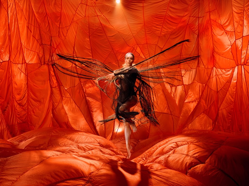 Illume 2025 | What's on in Sydney Illume 2025 | What's on in Sydney