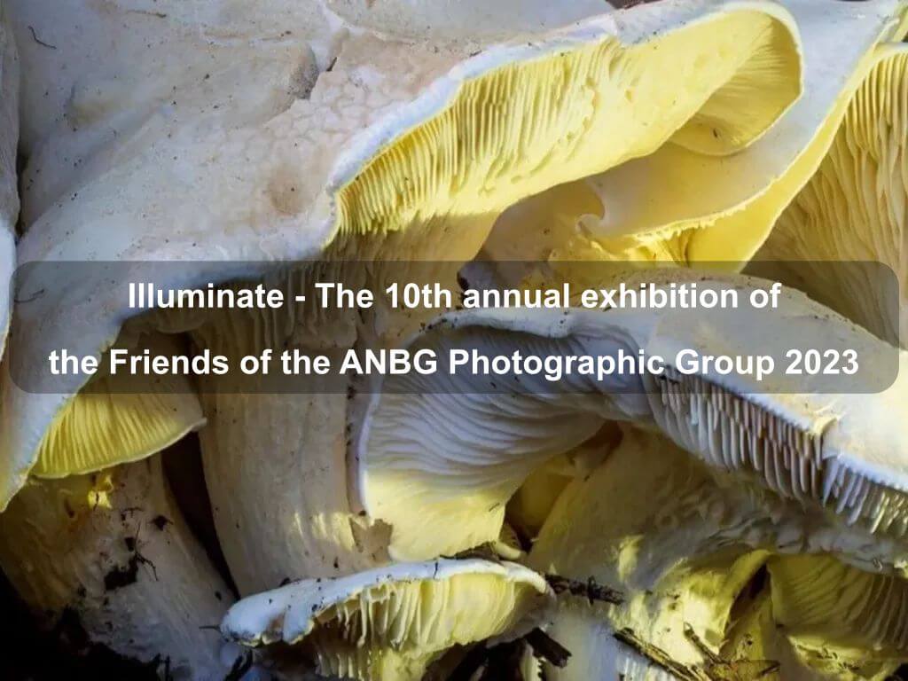 Illuminate - The 10th annual exhibition of the Friends of the ANBG Photographic Group Australian National Botanic Gardens 2023 | Acton