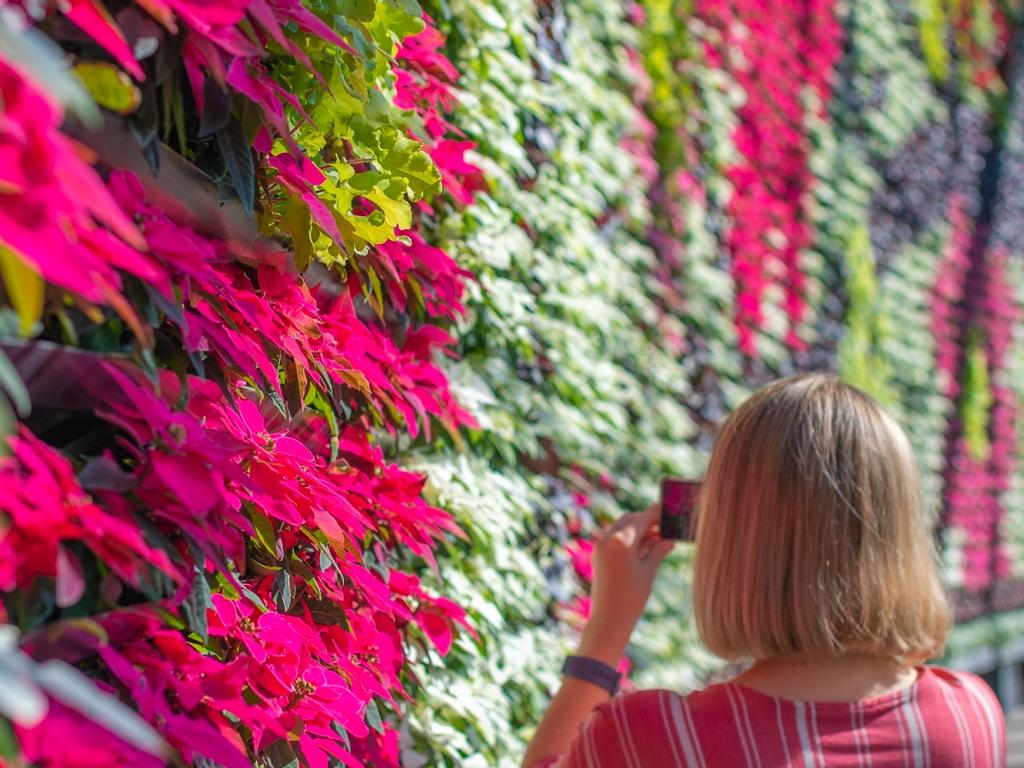 inBLOOM at the Royal Botanic Garden Sydney 2020 | What's on in Sydney