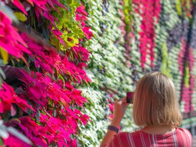 Discover the latest living exhibition held at the Royal Botanic Garden Sydney.Immerse yourself in a spectrum of visible ...