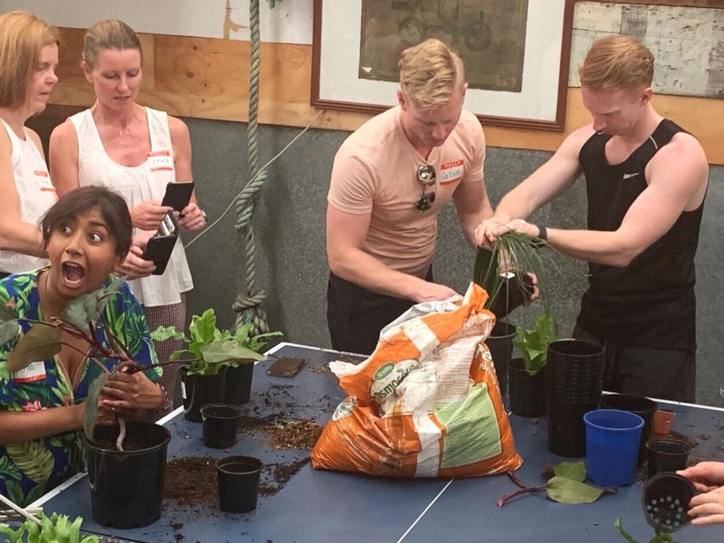 Indoor plants 101 course 2020 | Stanmore