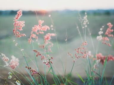 Practical wisdom to help us find inner peace and joy in daily life