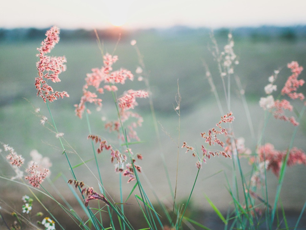 Introduction to Buddhism 2026 | What's on in Brunswick