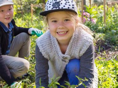 All new volunteers are invited to join the Jindalee Creek Bushcare Group's monthly working bees. Join us from 8-10am on ...