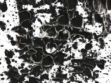 SKIN - Moving through Monochrome showcases my totem The Saltwater Crocodile and the land that we are from; The Northern... SKIN - Moving through Monochrome showcases my totem The Saltwater Crocodile and the land that we are from; The Northern...
