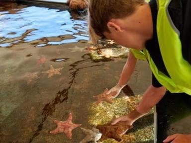 Become a Junior Marine Scientist for a day!
