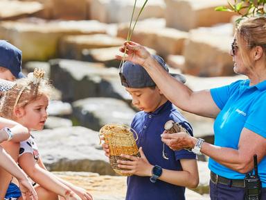 Get outdoors and explore Barangaroo Reserve with our Cultural educators and discover the ways we can care for country in...