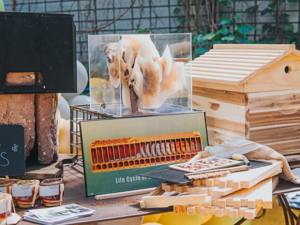 Kids Honey Workshop 2025 | What's on in Alexandria