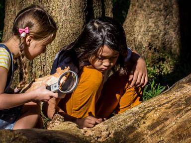 A morning in the wilder side of the park with survival games, animal tracking and trail making.Age: Children aged 5-12 y...