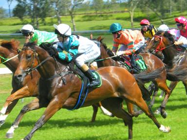 Place your bets and get your heart racing as the thunder of hooves cross the finish line on race day. Enjoy country raci...