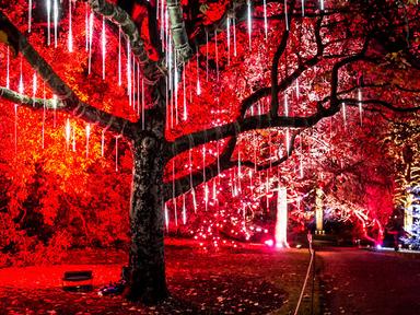 For the very first time Lightscape is coming to Perth! Begin your journey beneath tree canopies illuminated in colour, w...