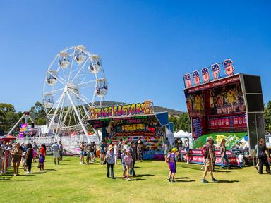 Knox Fest is a free community festival with activities for the whole family