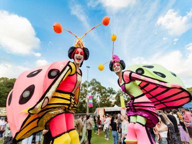 Knox Festival is a free community event welcoming locals to come together and celebrate community life.
