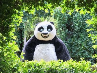 Darling Square will celebrate the release of Kung Fu Panda 4 with a fleet of activities running every weekend during sch...