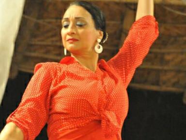 Do you want explore that deep soulful passion that is flamenco?Learning to dance flamenco means techniques for increasin... Do you want explore that deep soulful passion that is flamenco?Learning to dance flamenco means techniques for increasin...