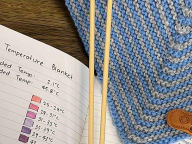 Temperature blankets provide a record of the climate over a snapshot of time. Coloured yarns are used to represent certa...