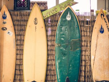 Learn to surf- starting with important surf and safety rules and covering all the basics from warm-up to paddling- catch...