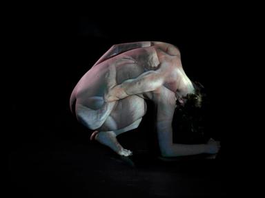 Artist Catherine Hourihan draws on her background as a multimedia dance maker in Sydney and New York in this visceral an...