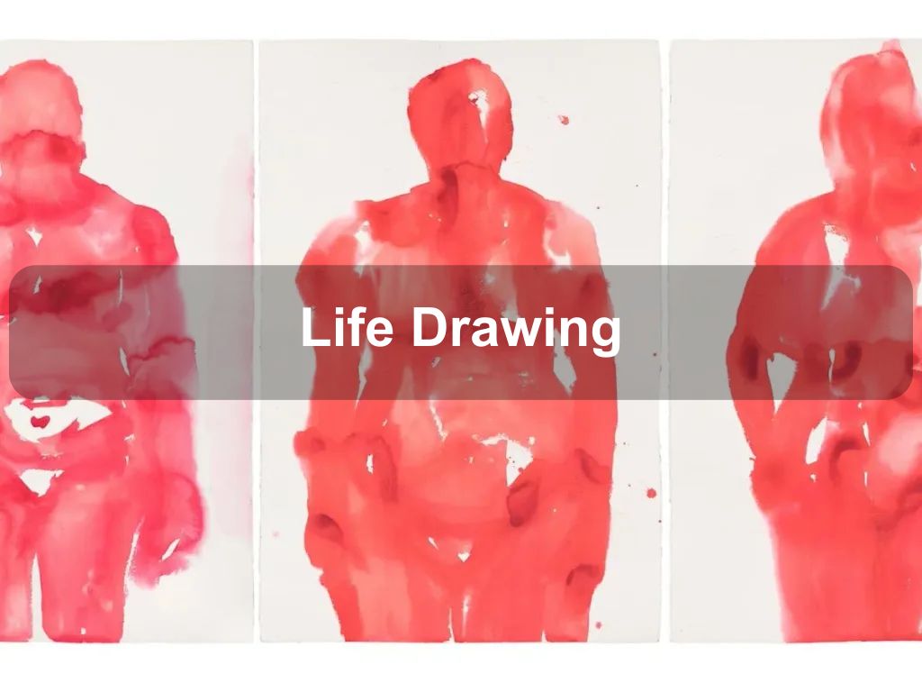 Life Drawing | Lee Crisp 2024 | Belconnen