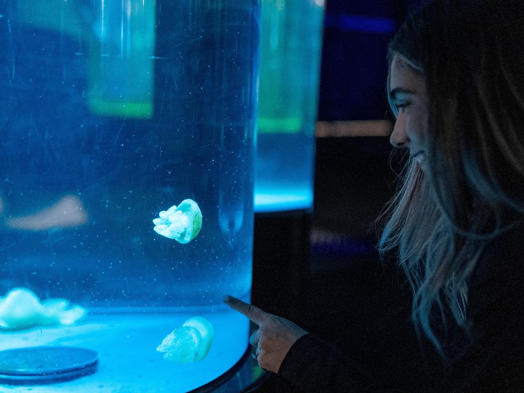 Life In Another Light At Sea Life Sydney Aquarium 2023 | What's on in Darling Harbour