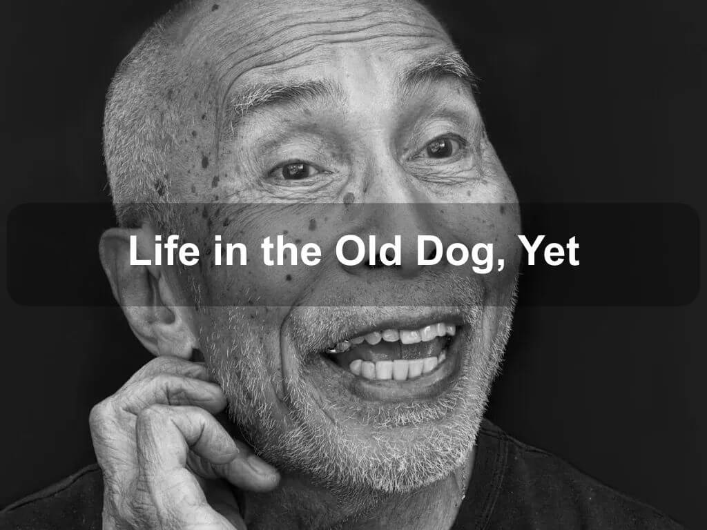 Life in the Old Dog, Yet | Brian Jones 2024 | Griffith