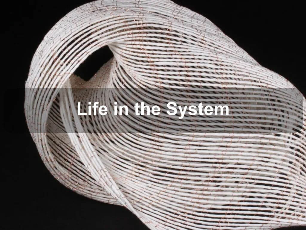 Life in the System | Melanie Olde 2024 | What's on in Griffith