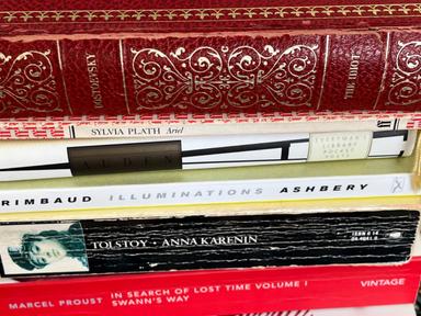 This course explores heavyweight literature from formidable writers including Marcel Proust, Fyodor Dostoevsky, Sylvia P...
