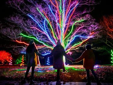Lightscape is making its Australian debut at Royal Botanic Gardens Melbourne this June. Featuring luminous walkways and ...