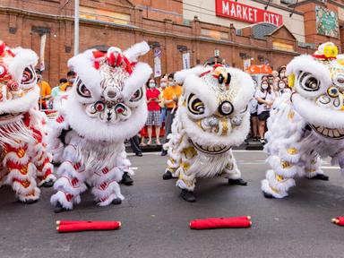 Community performers and Lion Dancers will take to the streets bringing colour, music and movement to our city.Get up cl...