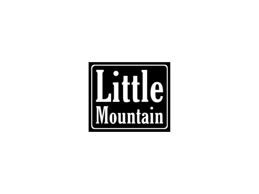 Little Mountain 'When It All Changed' EP Launch Show 2021 | Ashgrove