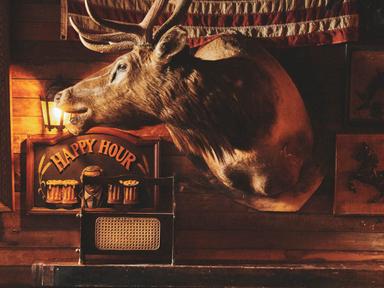 Step into Shady Pines Saloon for free live music every Thursday and Sunday, featuring foot‑stompin' honky tonk, country,...