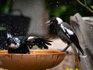The Lord Mayor's Photographic Awards is an annual competition open to anyone who lives, works or studies in Brisbane. This year, entrants were asked to...