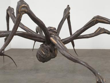 Experience the beauty and power of Louise Bourgeois's art, in the largest exhibition of her work ever seen in Australia ...