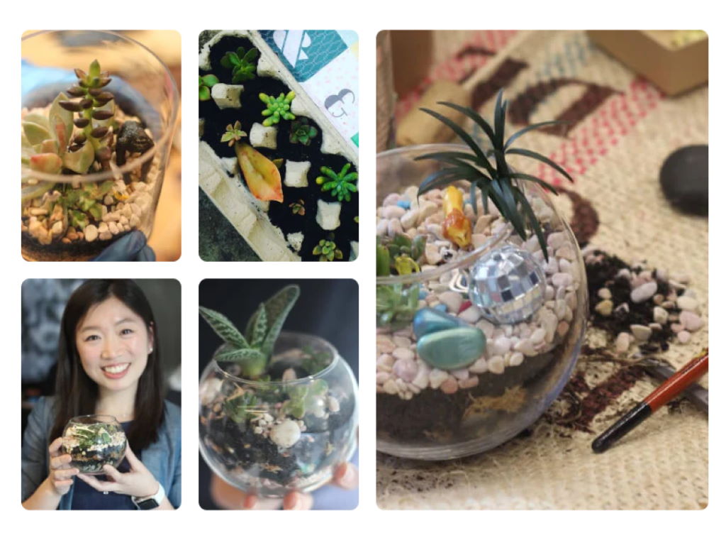 Love Plants? Make a DIY Terrarium 2020 | Sydney