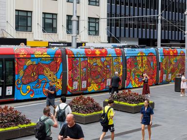 The Sydney Lunar Festival light rail snakes it way around the city centre. How many snakes can you count on its body?Luc...