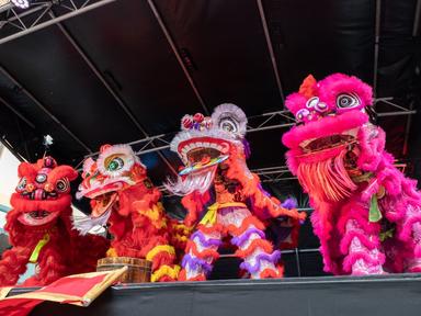 Gather your friends and family to welcome in the Year of the Horse. On Saturday 21 February, Fortitude Valley will come alive with colour, music... Gather your friends and family to welcome in the Year of the Horse. On Saturday 21 February, Fortitude Valley will come alive with colour, music...