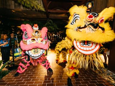 BrisAsia Festival 2026 presents Lunar New Year at Southside Restaurant. From daylight to lantern light, celebrate Lunar New Year in Fish Lane Arts Precinct. Welcome...